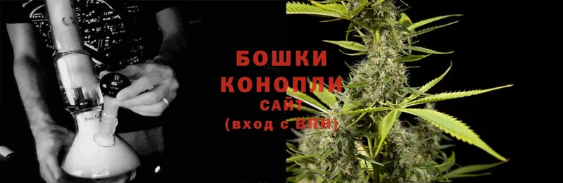 Марихуана OG Kush  где можно купить   Гвардейск 